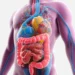digestive-system-facts